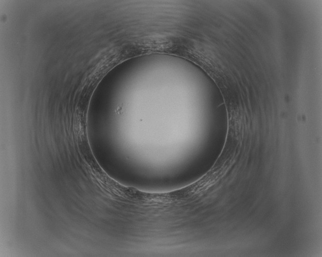 X0000073541058200608071050