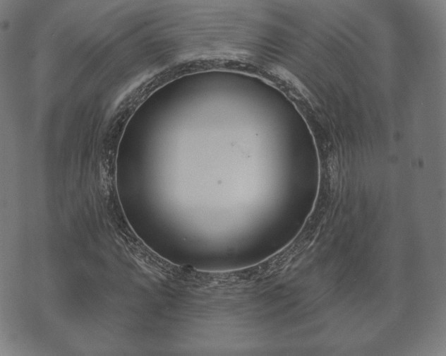 X0000073541064200608071050