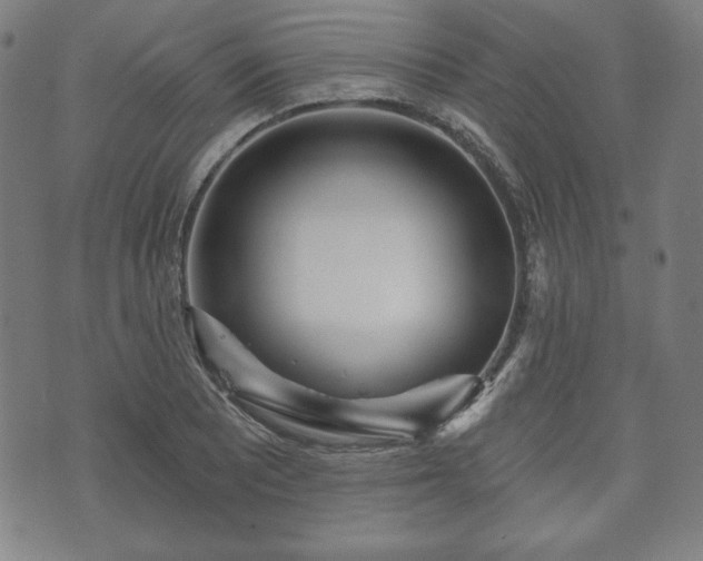 X0000073541081200608071049