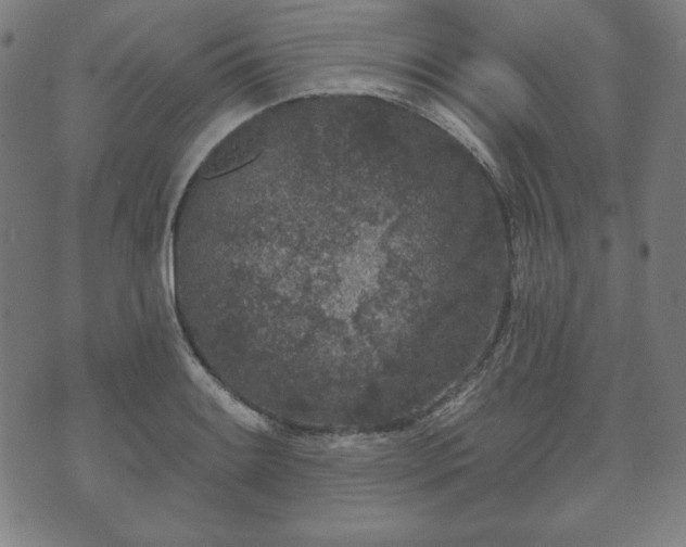 X0000073541084200608071049