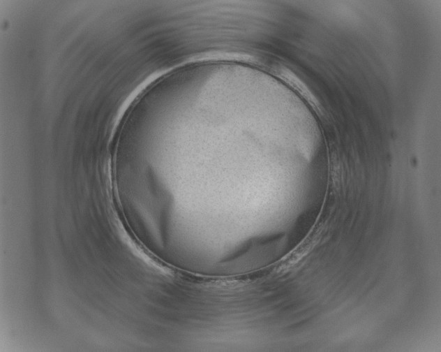 X0000073541092200608071049