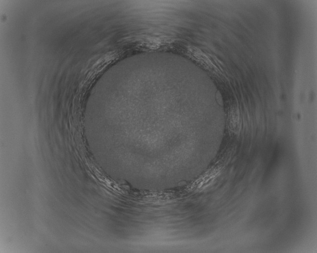 X0000073541105200608071048