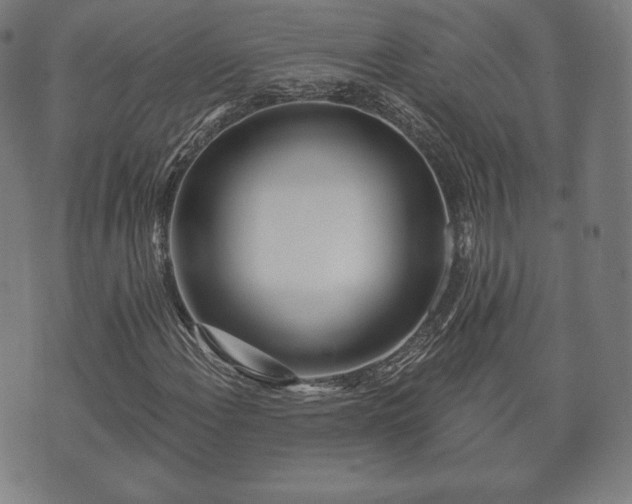 X0000073541108200608071048
