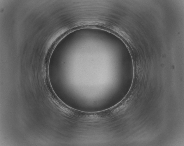 X0000073541119200608071049