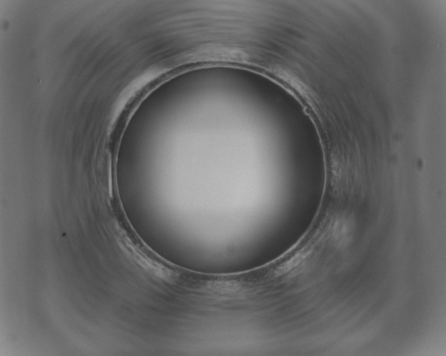 X0000073541123200608071049