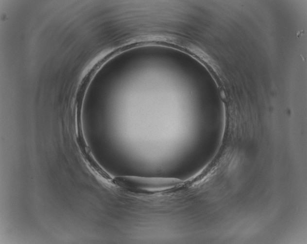 X0000073541127200608071049