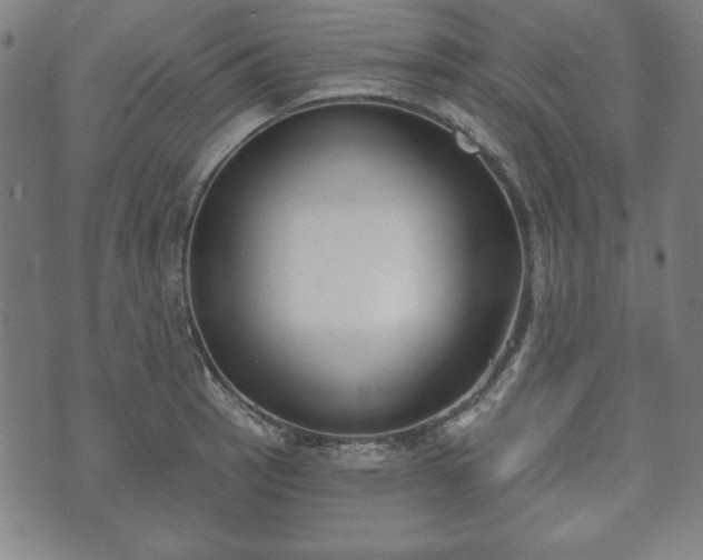 X0000073541137200608071049