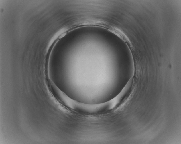 X0000073541138200608071049