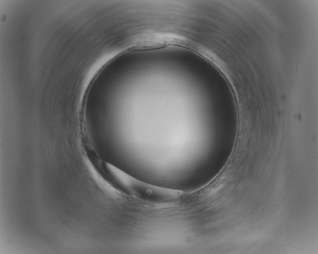 X0000073541152200608071049