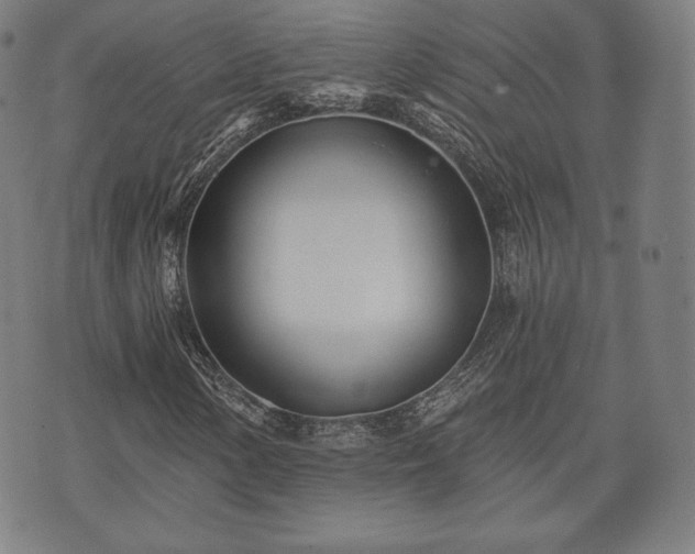 X0000073541154200608071048