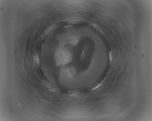 X0000073541155200608071048