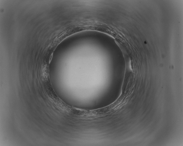 X0000073541156200608071048