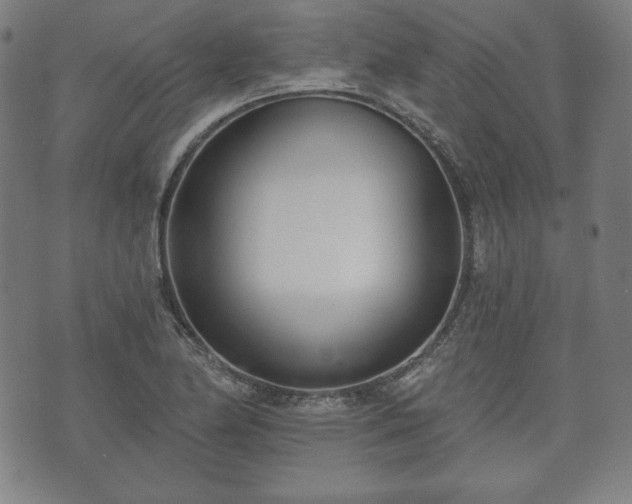X0000073541174200608071048