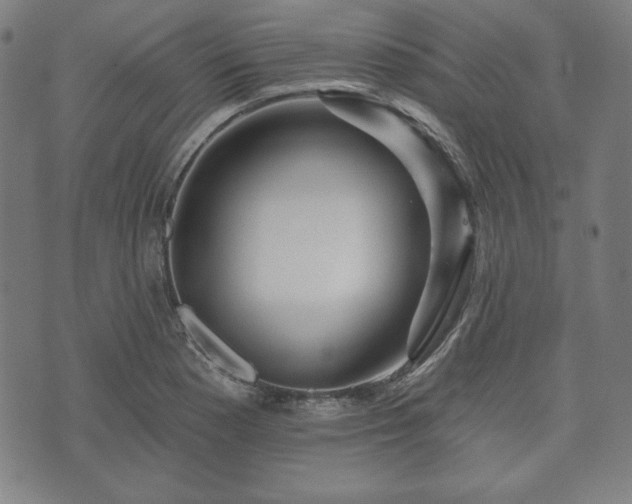 X0000073541177200608071048