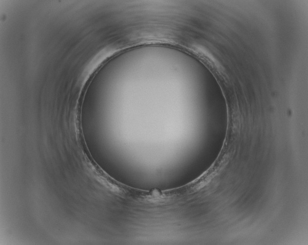 X0000073541182200608071048