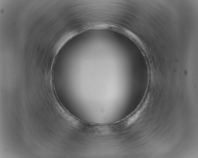 X0000073541194200608071048