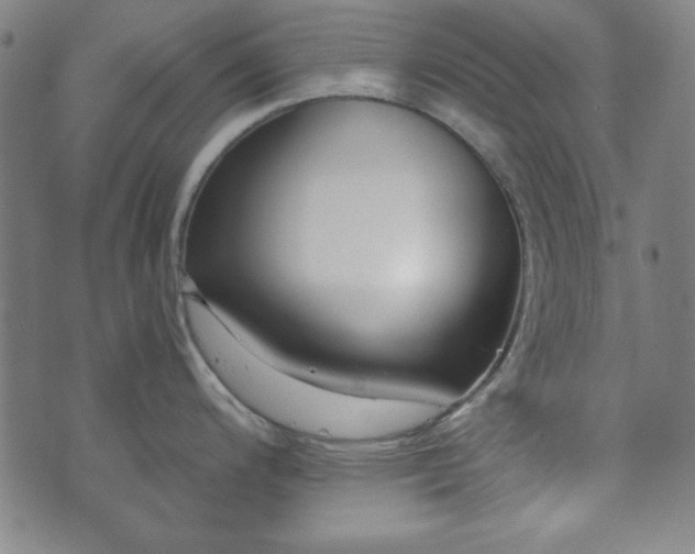 X0000073541200200608071048