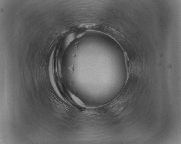 X0000073541202200608071047