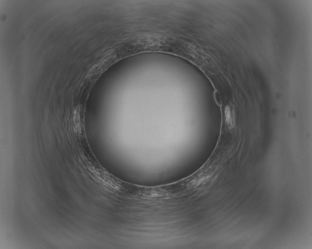 X0000073541203200608071047