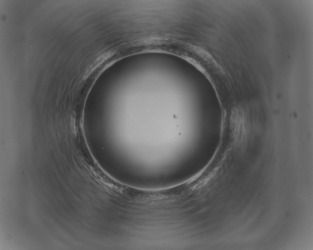 X0000073541209200608071047