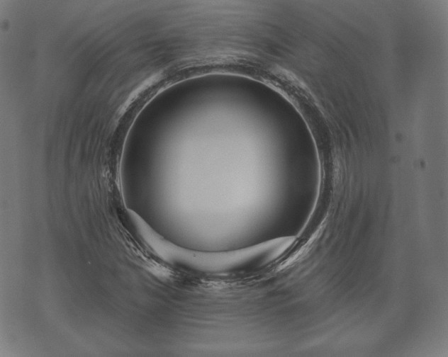 X0000073541210200608071047