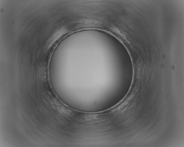 X0000073541211200608071047