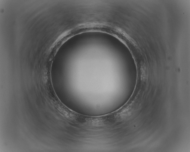 X0000073541213200608071047