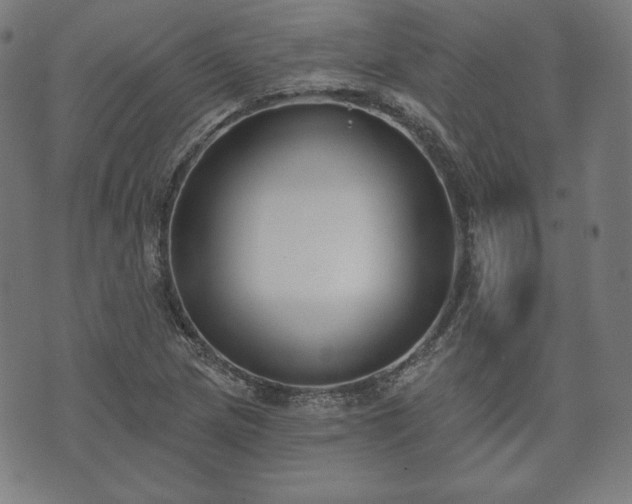 X0000073541217200608071047