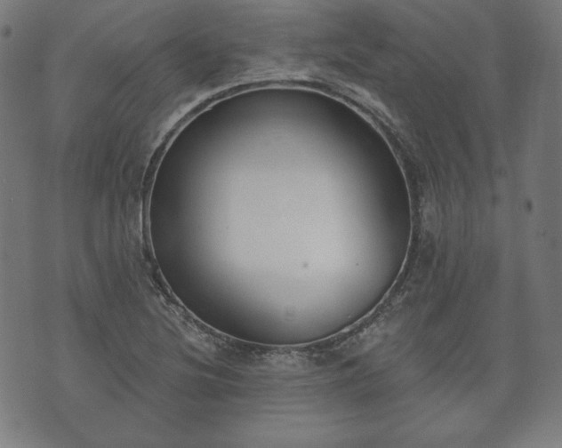 X0000073541220200608071047