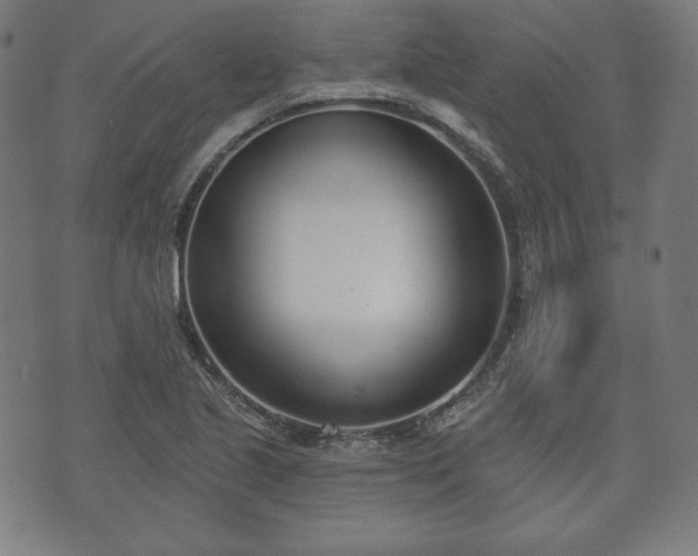 X0000073541221200608071047