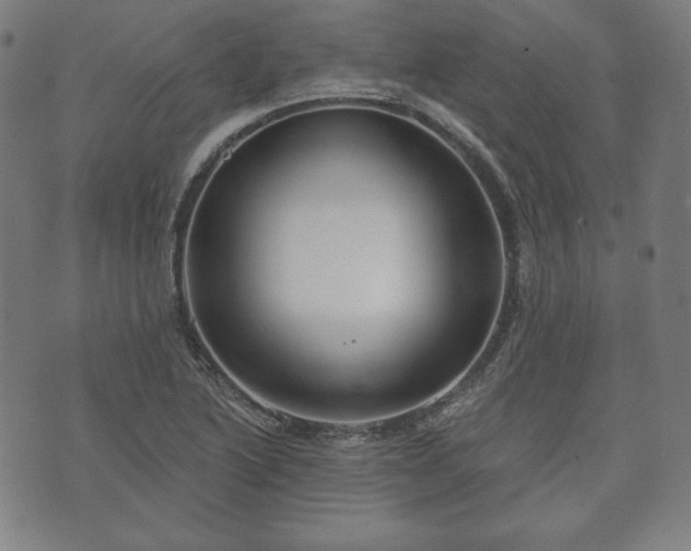 X0000073541222200608071047