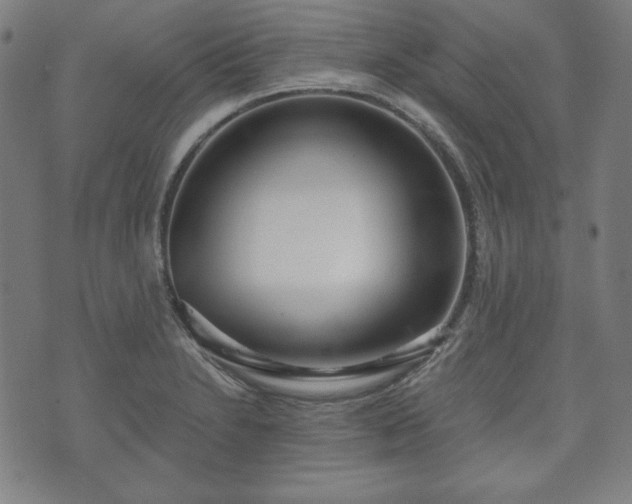 X0000073541230200608071047