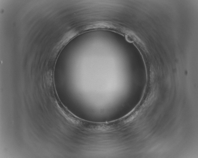 X0000073541233200608071047