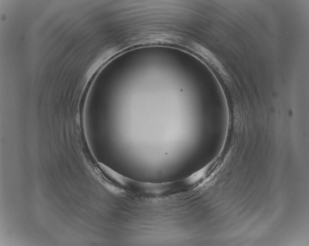 X0000073541234200608071047