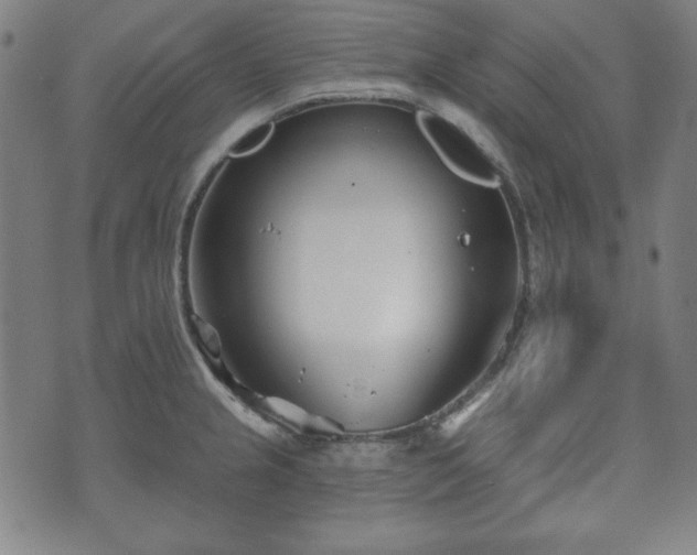 X0000073541237200608071047