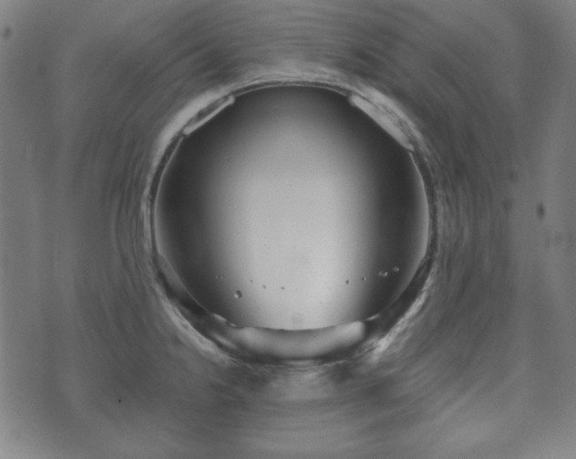 X0000073541238200608071047