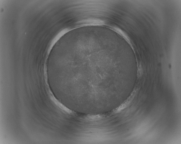 X0000073541243200608071047