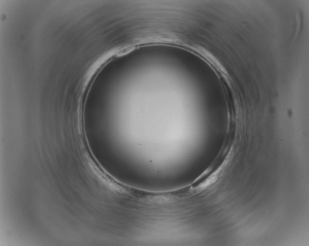 X0000073541246200608071047