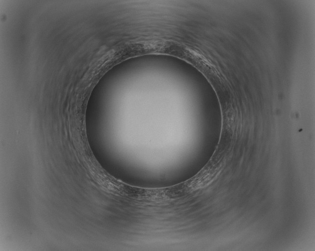X0000073541249200608071047
