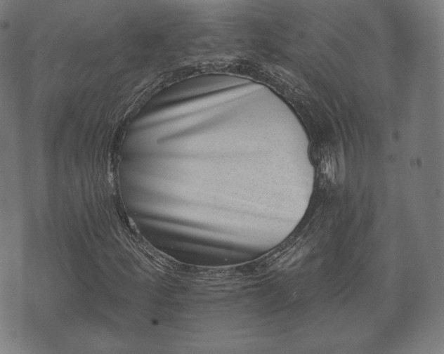 X0000073541252200608071047