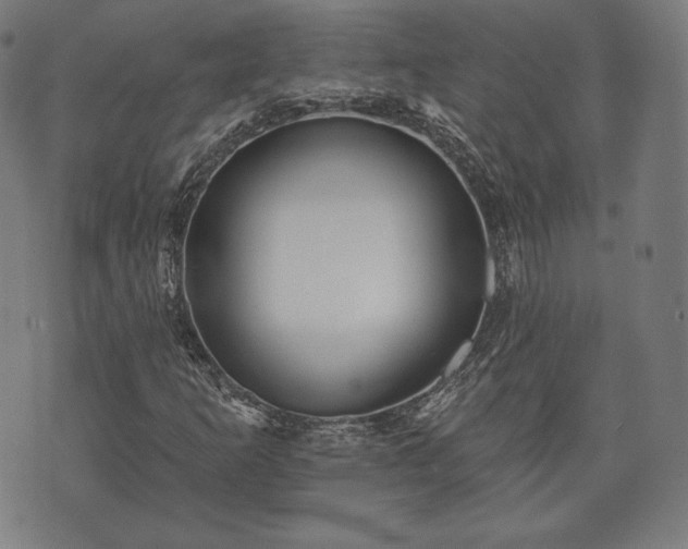 X0000073541253200608071047