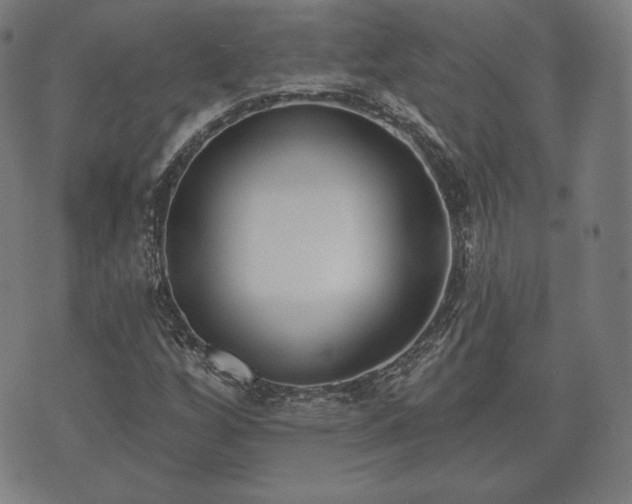 X0000073541256200608071047