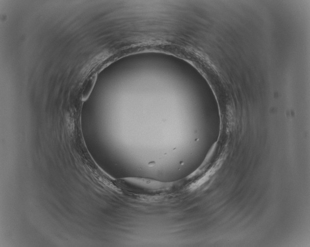 X0000073541257200608071047