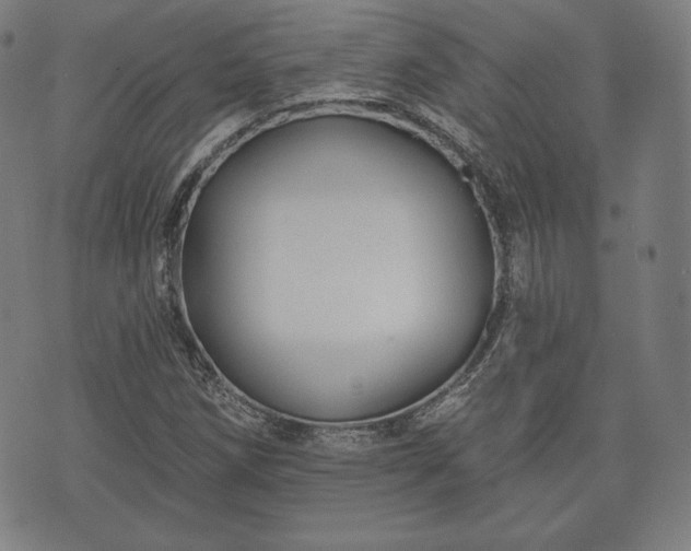 X0000073541258200608071047