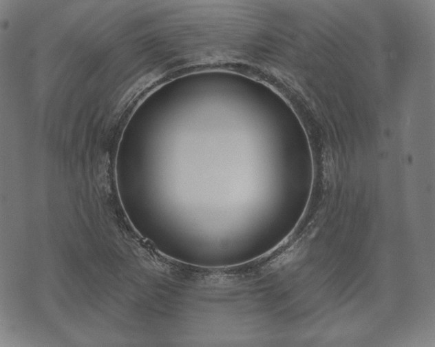 X0000073541265200608071046