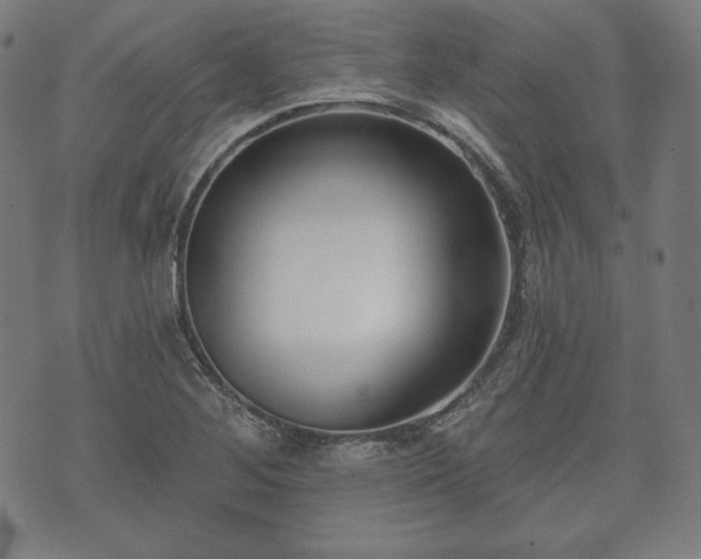 X0000073541268200608071046