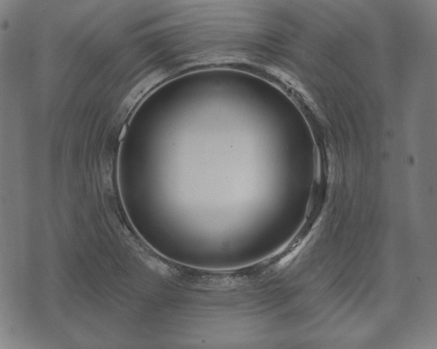 X0000073541273200608071046