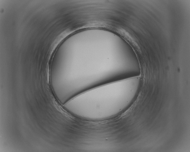 X0000073541276200608071046
