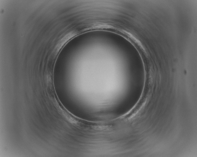 X0000073541281200608071046
