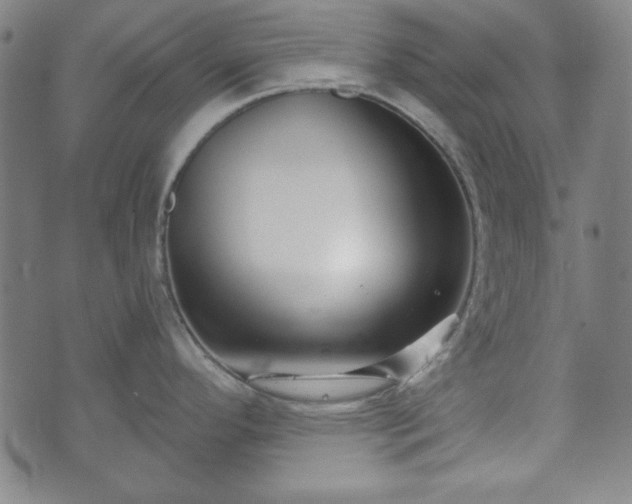 X0000073541296200608071046